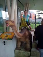 /album/fotogalerie-dinopark-vylet-do-prehistorie-na-strese-galerie-harfy/dinopark-jitka-hlavackova12-jpg/